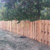 Tiger Fencing