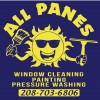 All Panes Window Cleaning, Painting, & Pressure Washing