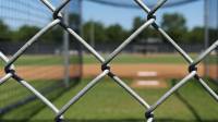 Chain Link Fences